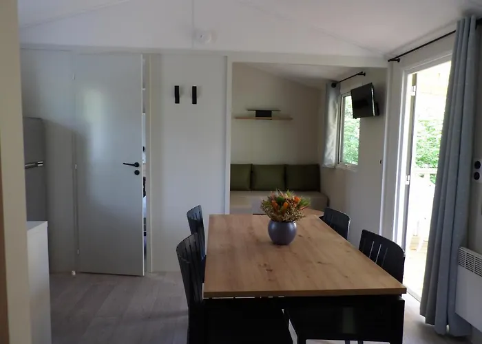 Modulo Vip 캠프장 *